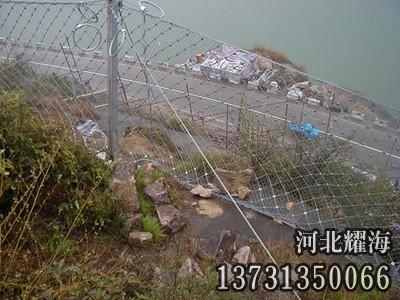 被動防護(hù)網(wǎng)